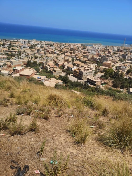 Vente Terrain Tipaza Gouraya