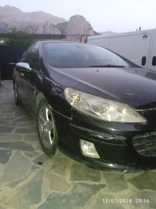 Peugeot 407 2005 407