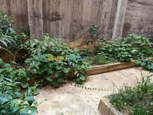 Vente Immeuble Jijel Jijel