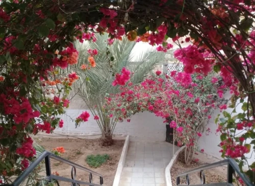 Vente Villa Biskra Biskra