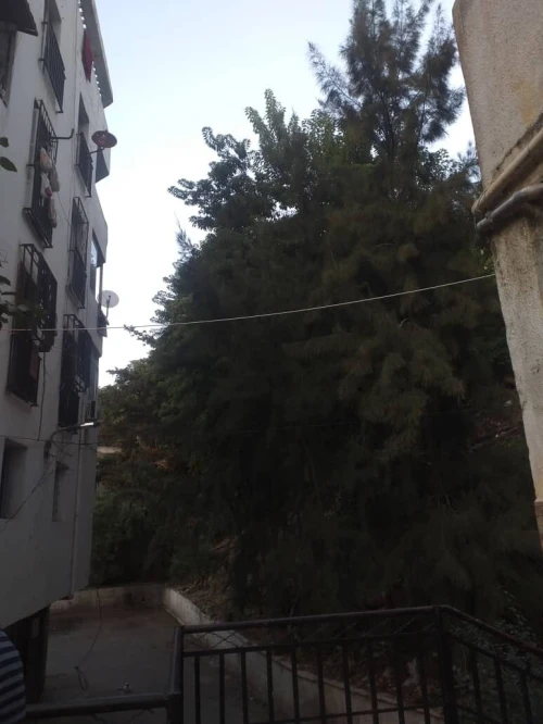 Vente Appartement F5 Alger Bab el oued
