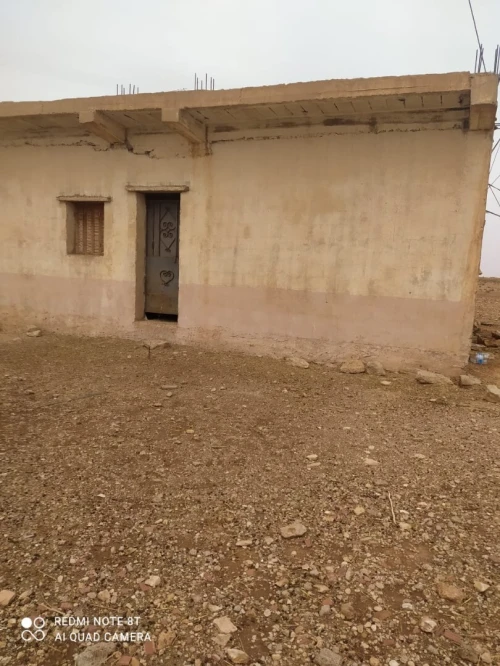 Vente Terrain Agricole Djelfa Hassi fedoul