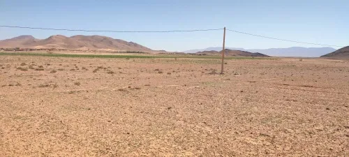 Vente Terrain Naâma Sfissifa