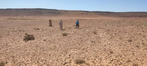 Vente Terrain Naâma Sfissifa