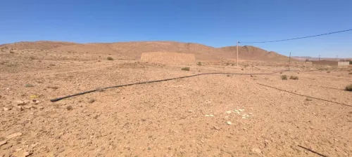 Vente Terrain Naâma Sfissifa
