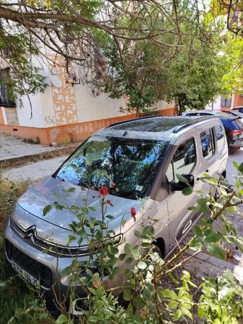 Citroen Berlingo 2024 Shein
