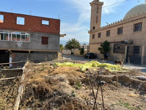 Vente Terrain Tipaza Hadjout