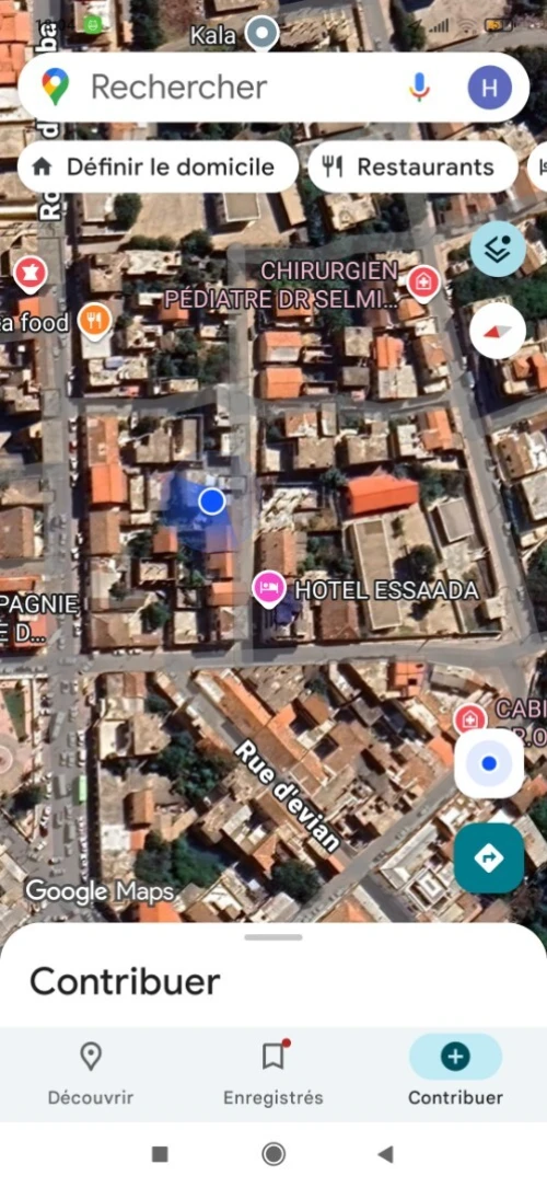 Vente Appartement Niveau de villa F10+ El Tarf El kala
