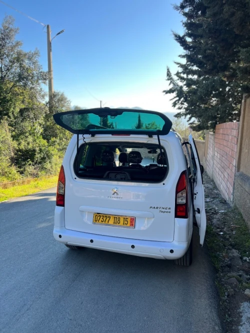 Peugeot Partner 2018 Teepe