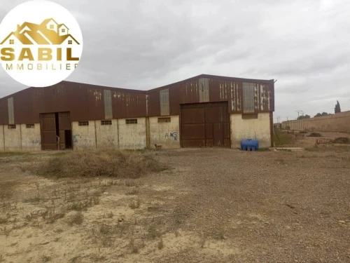 Vente Terrain Oran Oran