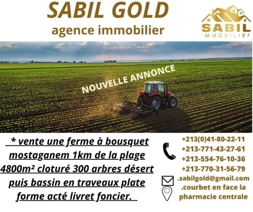 Vente Terrain Agricole Mostaganem Mostaganem