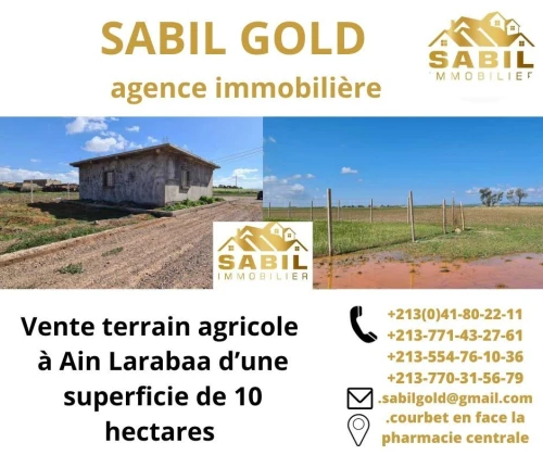 Vente Terrain Oran Oran