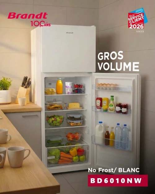 Réfrigérateur Brandt nofrost 600L blanc Garantie moteur 10ans