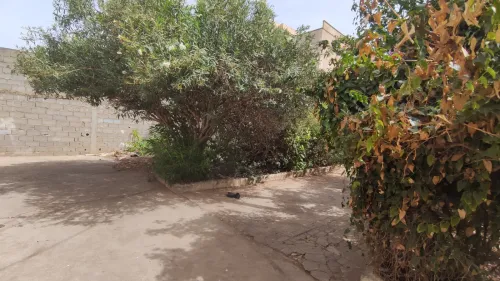Vente Terrain Boumerdès Zemmouri