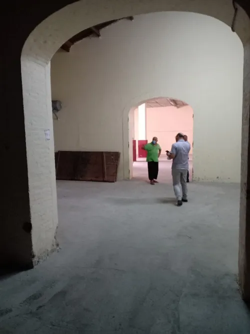 Location Hangar Tipaza Kolea
