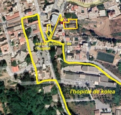 Vente Terrain Tipaza Kolea