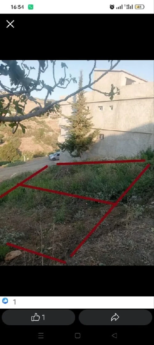 Vente Terrain Tipaza Cherchell