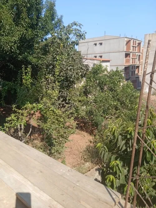 Vente Villa Tipaza Fouka
