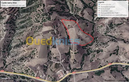Vente Terrain Ain defla Hammam righa