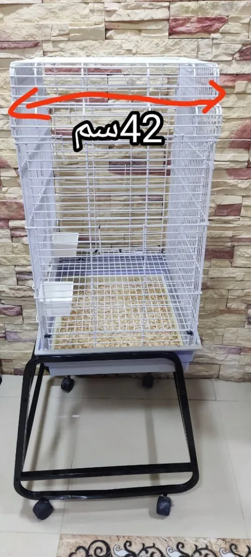 Cage perroquet importation
