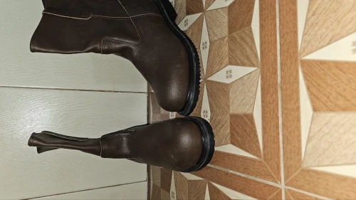 Bottes redwings