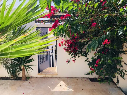 Location vacances Bungalow F3 Aïn Témouchent Bou zedjar