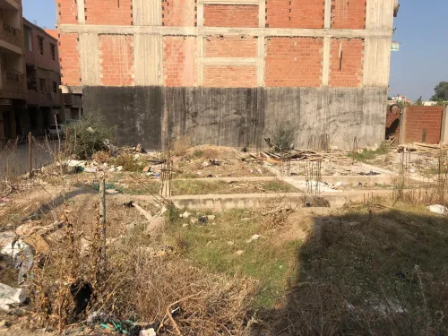 Vente Terrain Blida Bougara