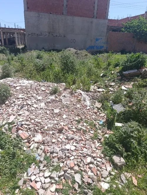 Vente Terrain Blida Ouled selama