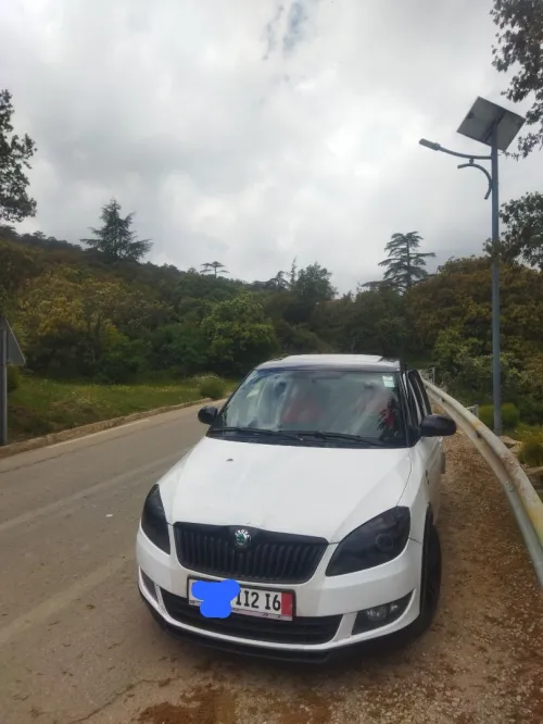 Skoda Fabia 2012 Monte Carlo