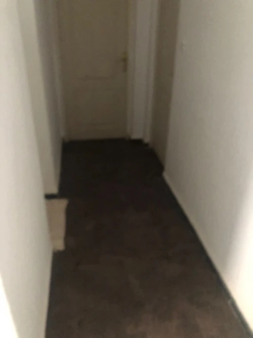 Location Appartement F3 Blida Bouinan