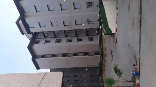  Griffé 