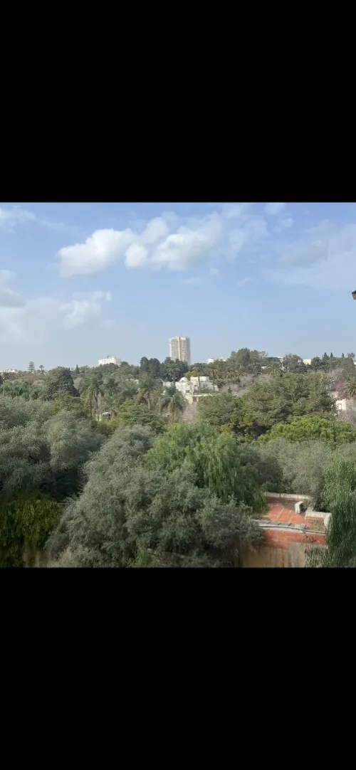 Location Appartement F3 Alger Ben aknoun