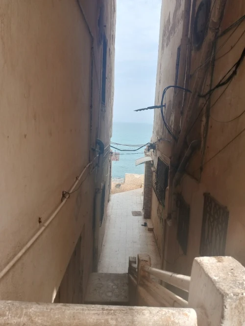 Vente Bungalow F3 Alger Hammamet