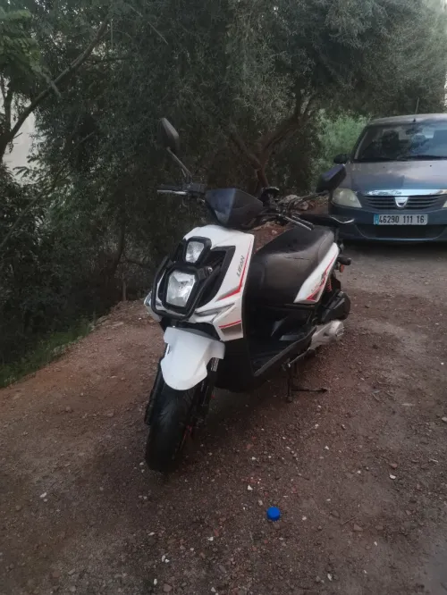 Lifan Liberty t12 2021