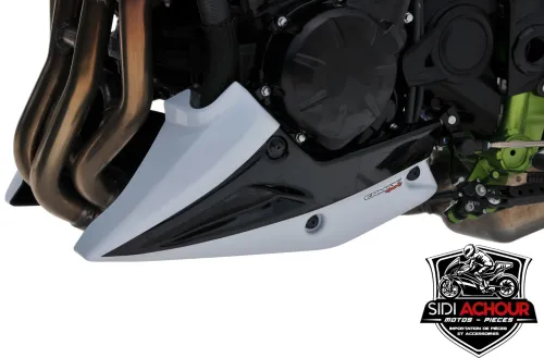 sabot moteur Ermax pour Z900 2020/2024