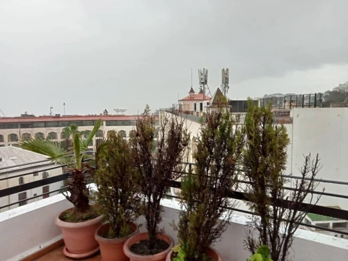 Location Appartement F5 Alger Hydra