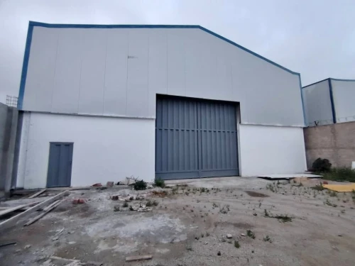 Location Hangar - Usine Alger Les eucalyptus