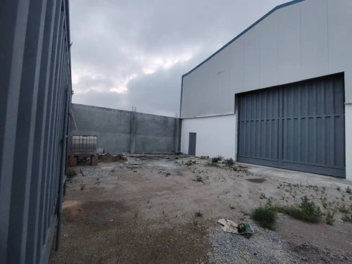 Location Hangar - Usine Alger Les eucalyptus