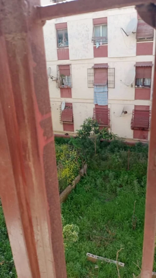 Location Appartement F2 Alger Kouba