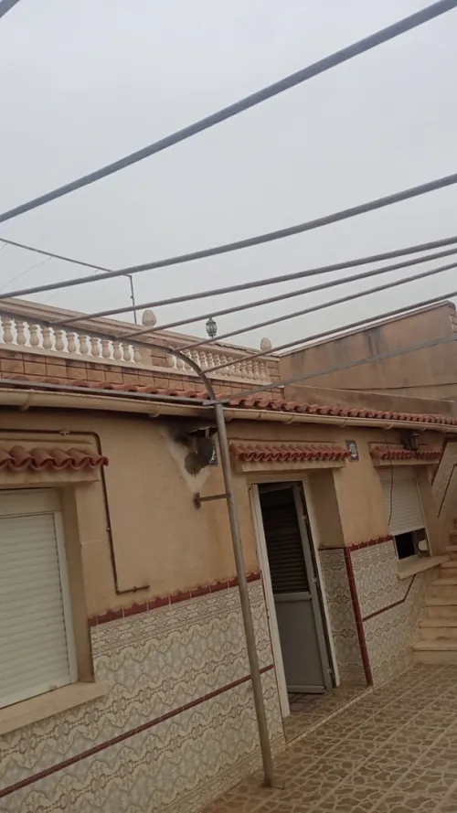 Location Niveau De Villa F05 Alger Kouba