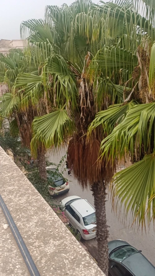 Location Niveau De Villa F05 Alger Kouba