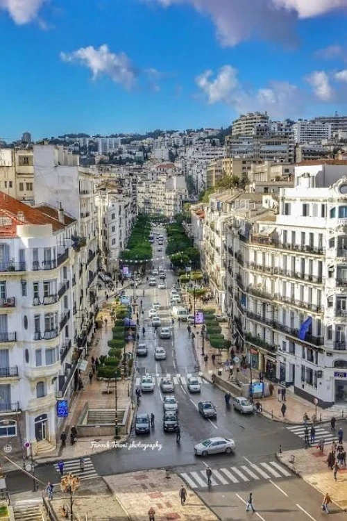 Vente Appartement F5 Alger Alger centre