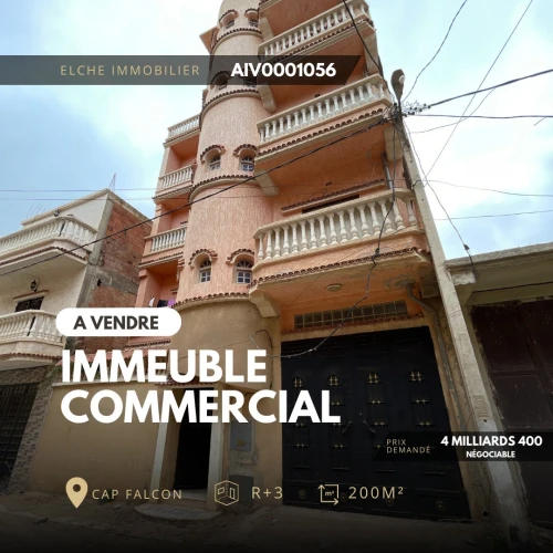 Vente Immeuble Oran Ain el turck