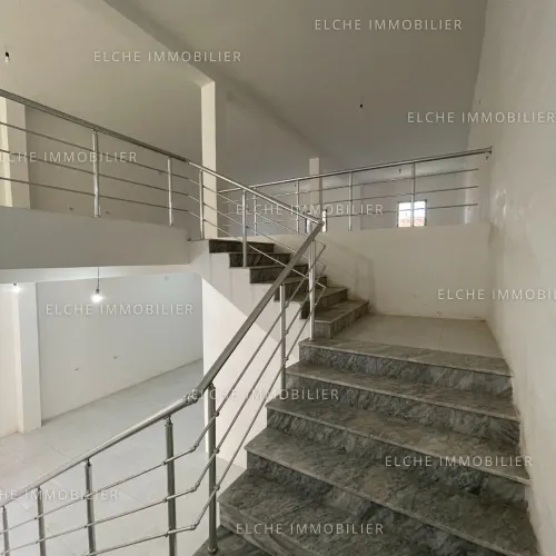 Location Local Oran Oued tlelat