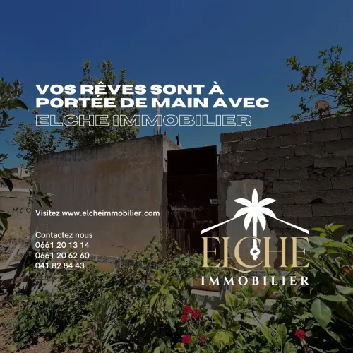 Vente Terrain Oran Bir el djir