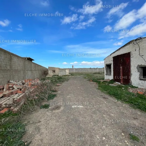 Vente Terrain Oran Tafraoui