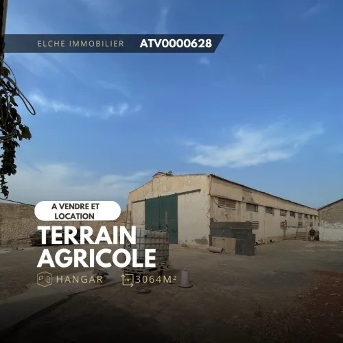Vente Terrain Oran Sidi chami