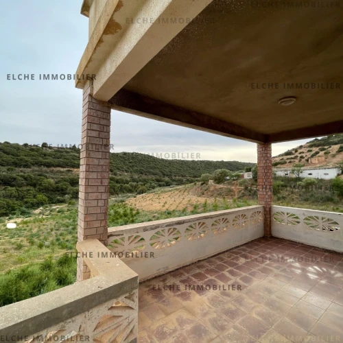 Vente Terrain Oran Misseghine