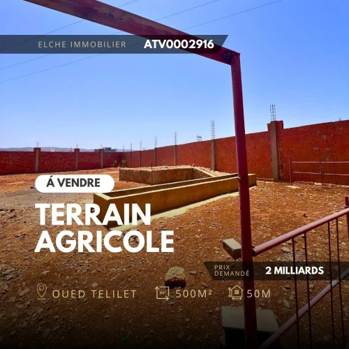 Vente Terrain Oran Oued tlelat