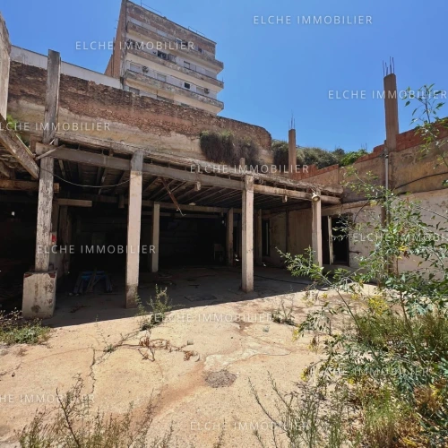 Vente Terrain Oran Oran